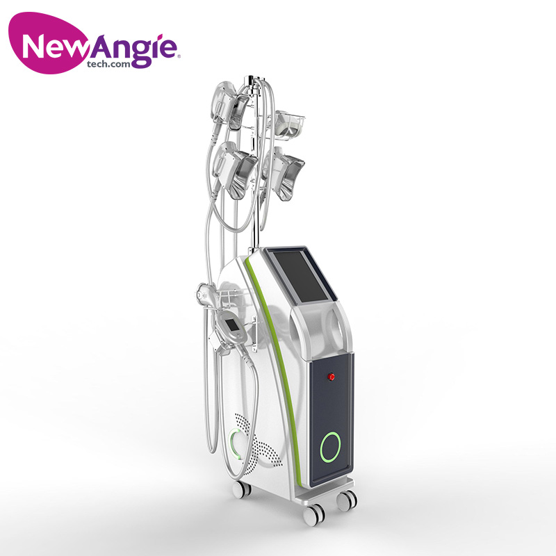 Best Portable 5 in 1 Cryolipolysis Machine Germany